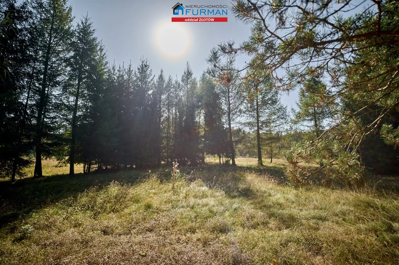 Działka 64 169,00 m², oferta nr , FZL-GS-197523, Szydłowo