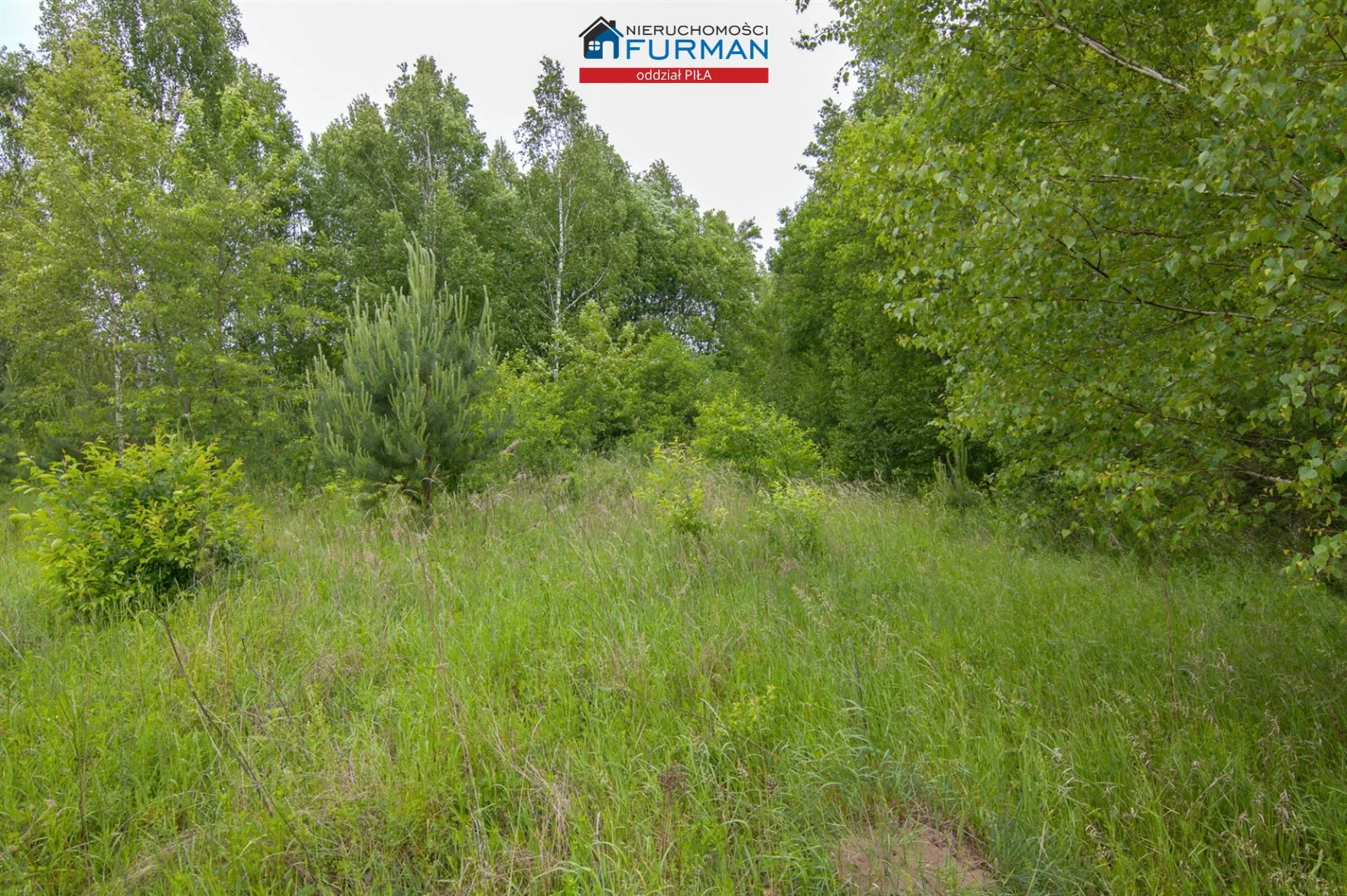 Działka 1 500,00 m², oferta nr , FRP-GS-198295, Tarnówka
