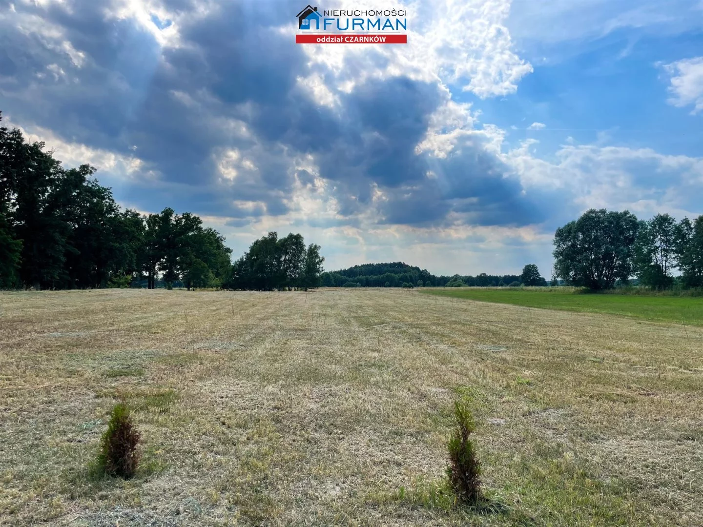 Działka 2 462,00 m², oferta nr , FCZ-GS-197221, Trzcianka