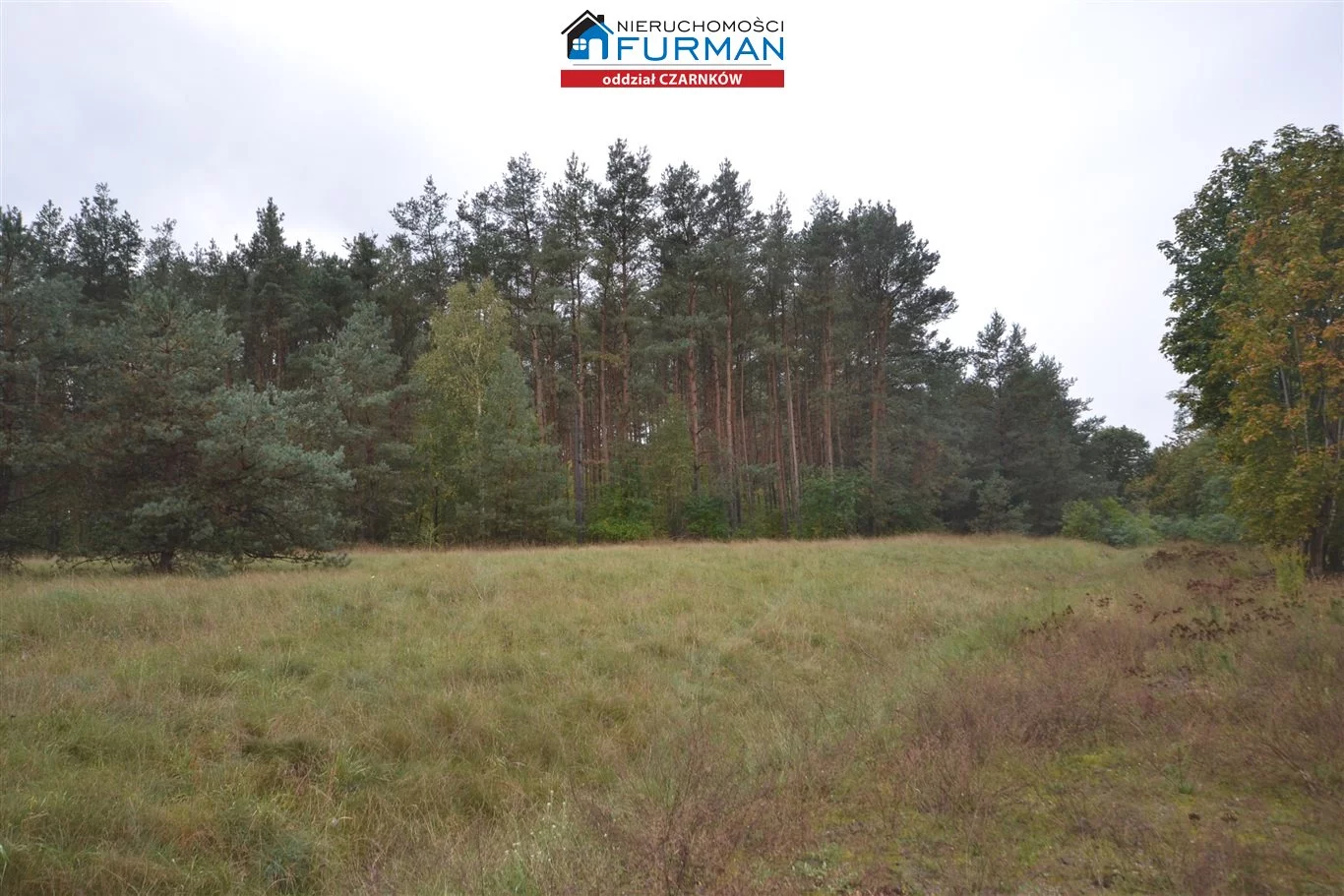 Działka 13 006,00 m², oferta nr , FCZ-GS-192841-1, Wieleń
