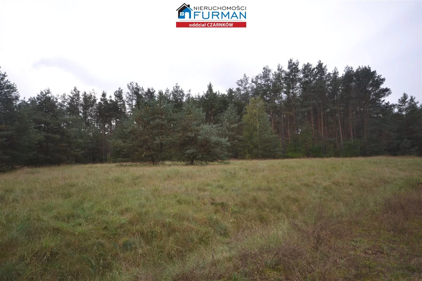 Działka 13 006,00 m², oferta nr , FCZ-GS-192841-1, Wieleń