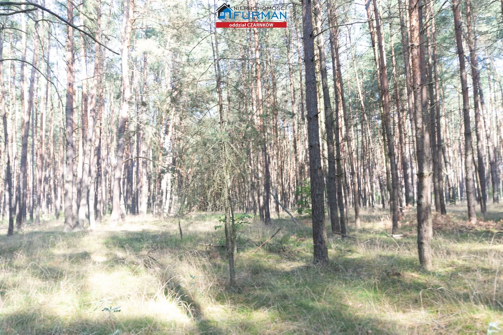 Działka 19 200,00 m², oferta nr , FCZ-GS-194049-3, Wieleń