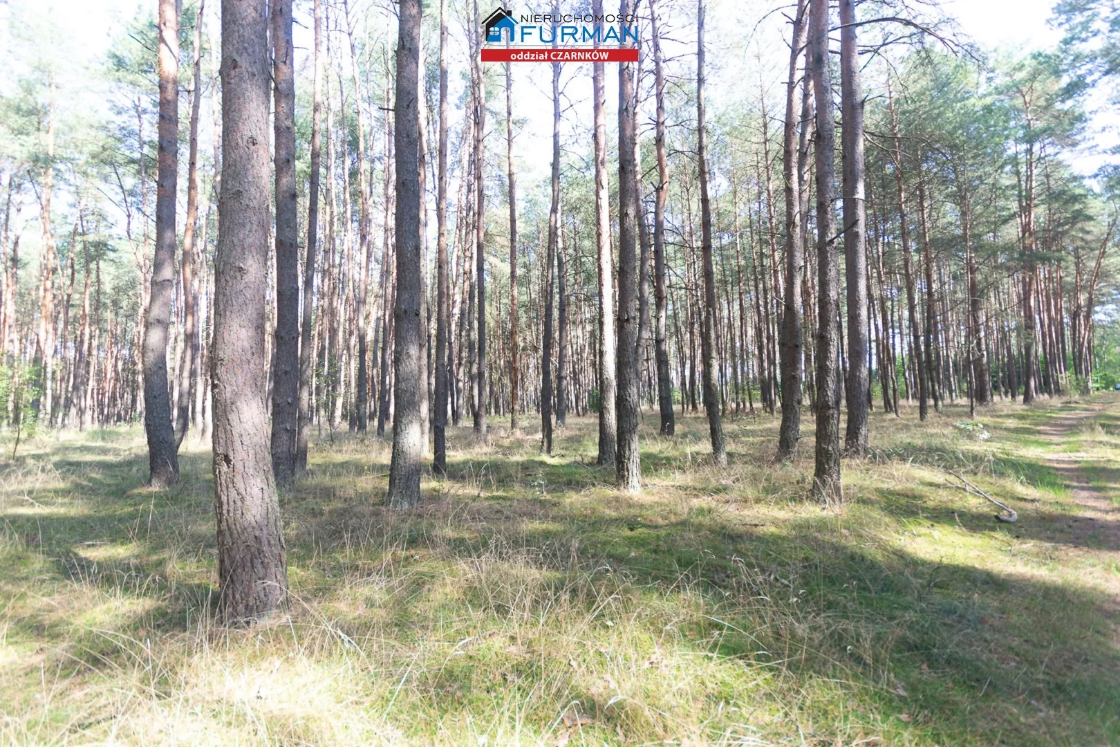 Działka 19 200,00 m², oferta nr , FCZ-GS-194049-3, Wieleń