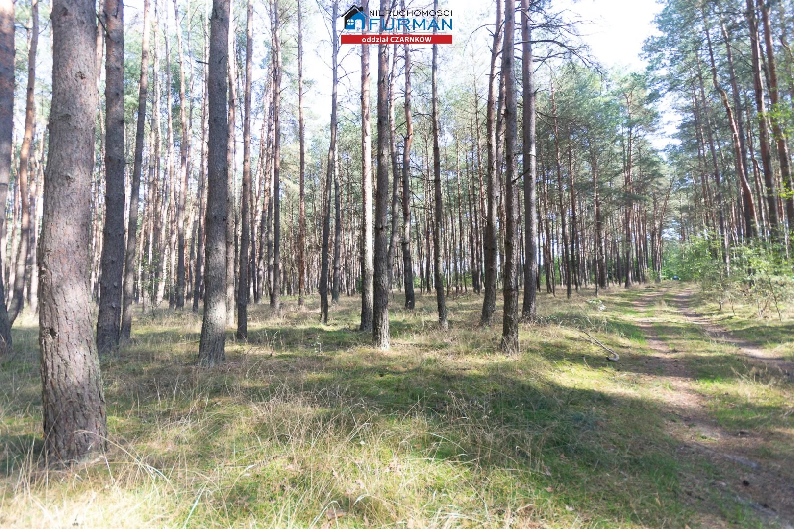 Działka 19 200,00 m², oferta nr , FCZ-GS-194049-3, Wieleń