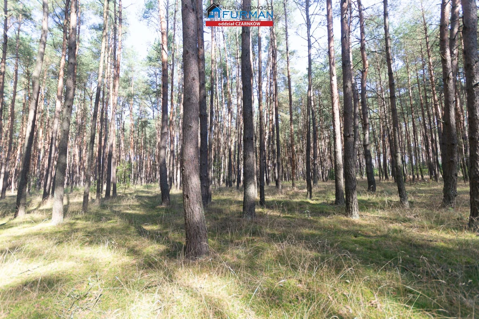 Działka 19 200,00 m², oferta nr , FCZ-GS-194049-3, Wieleń