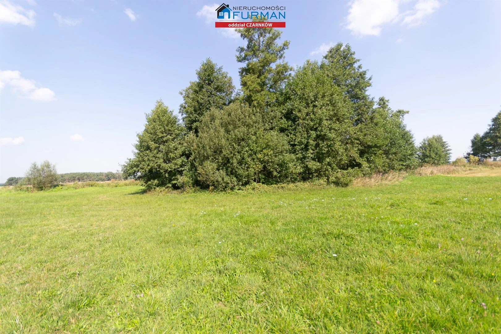 Działka 19 200,00 m², oferta nr , FCZ-GS-194049-3, Wieleń