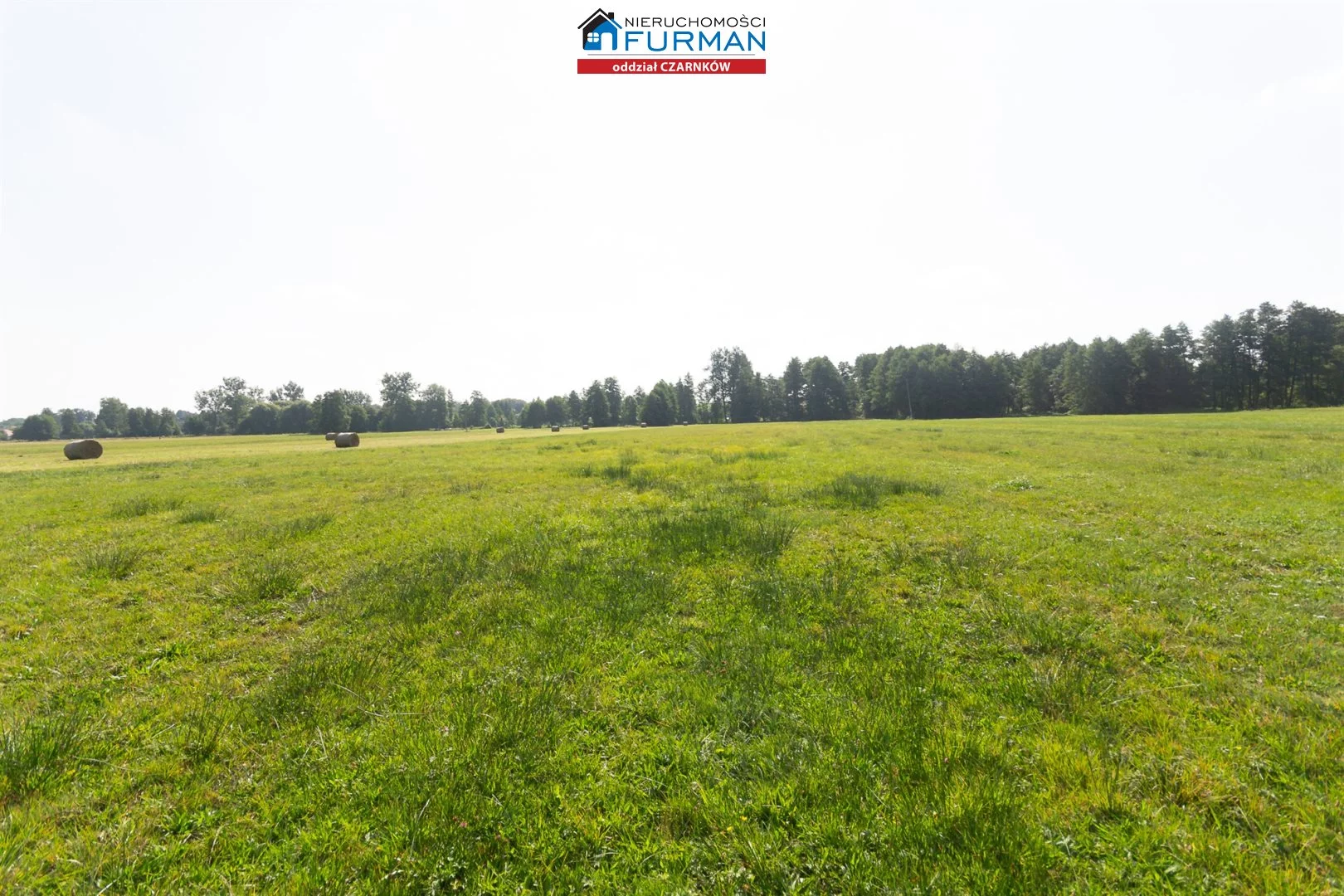 Działka 19 200,00 m², oferta nr , FCZ-GS-194049-3, Wieleń