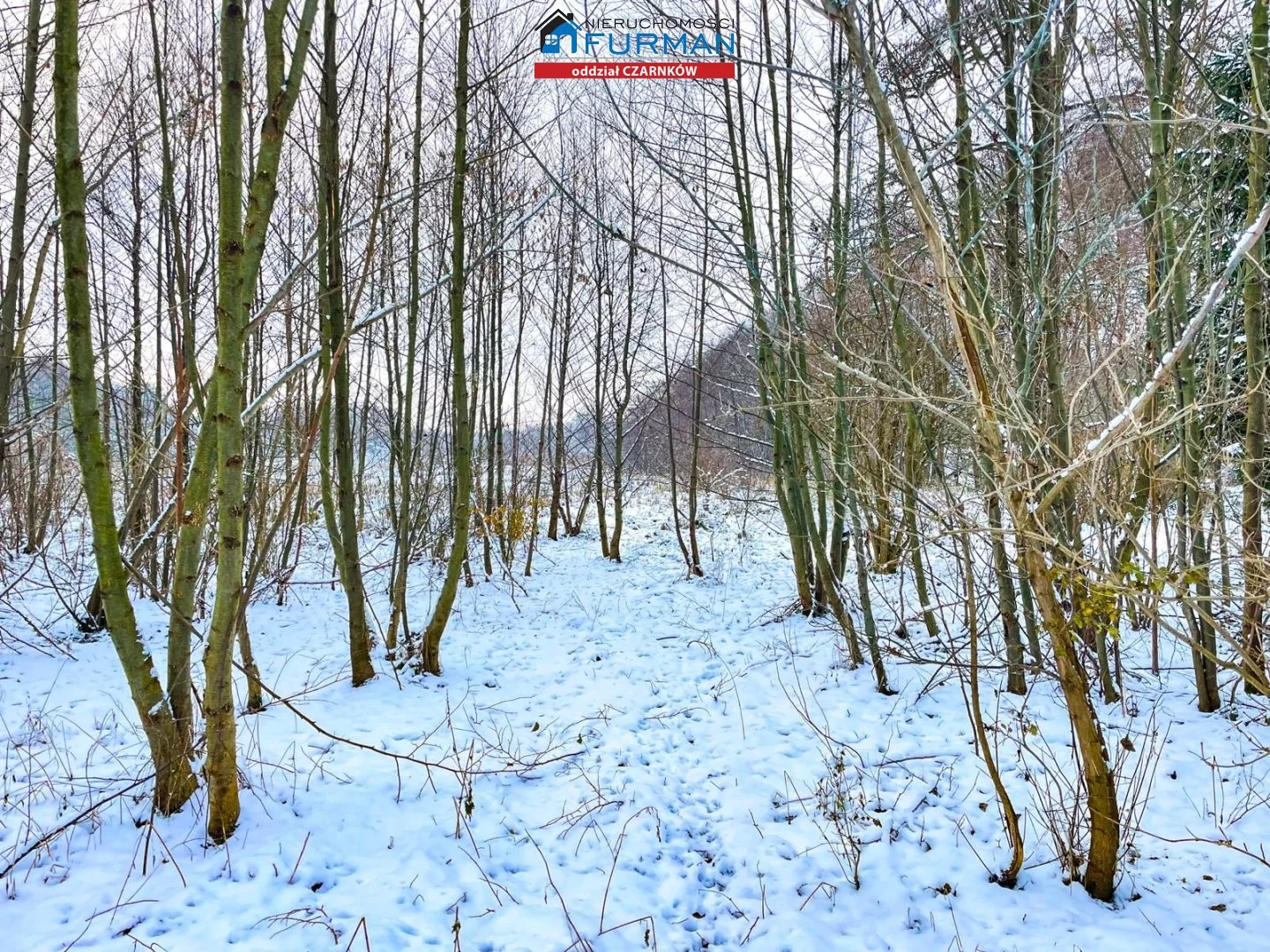 Działka 2 752,00 m², oferta nr , FCZ-GS-196488, Wieleń