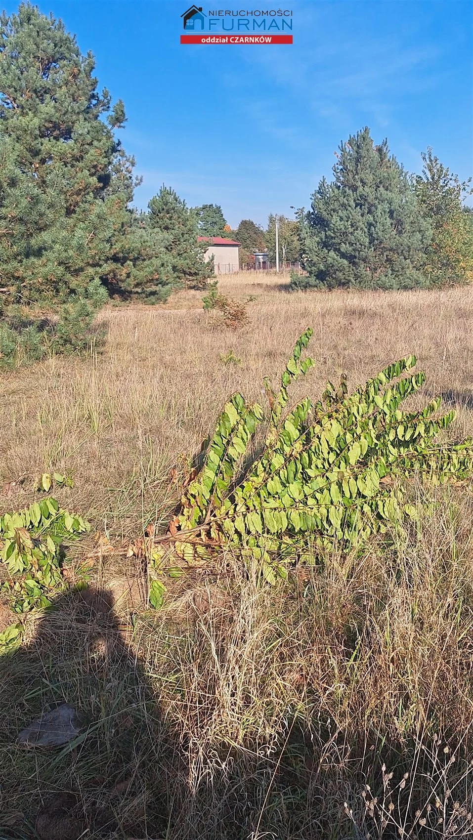 Działka 2 650,00 m², oferta nr , FCZ-GS-197596, Wieleń