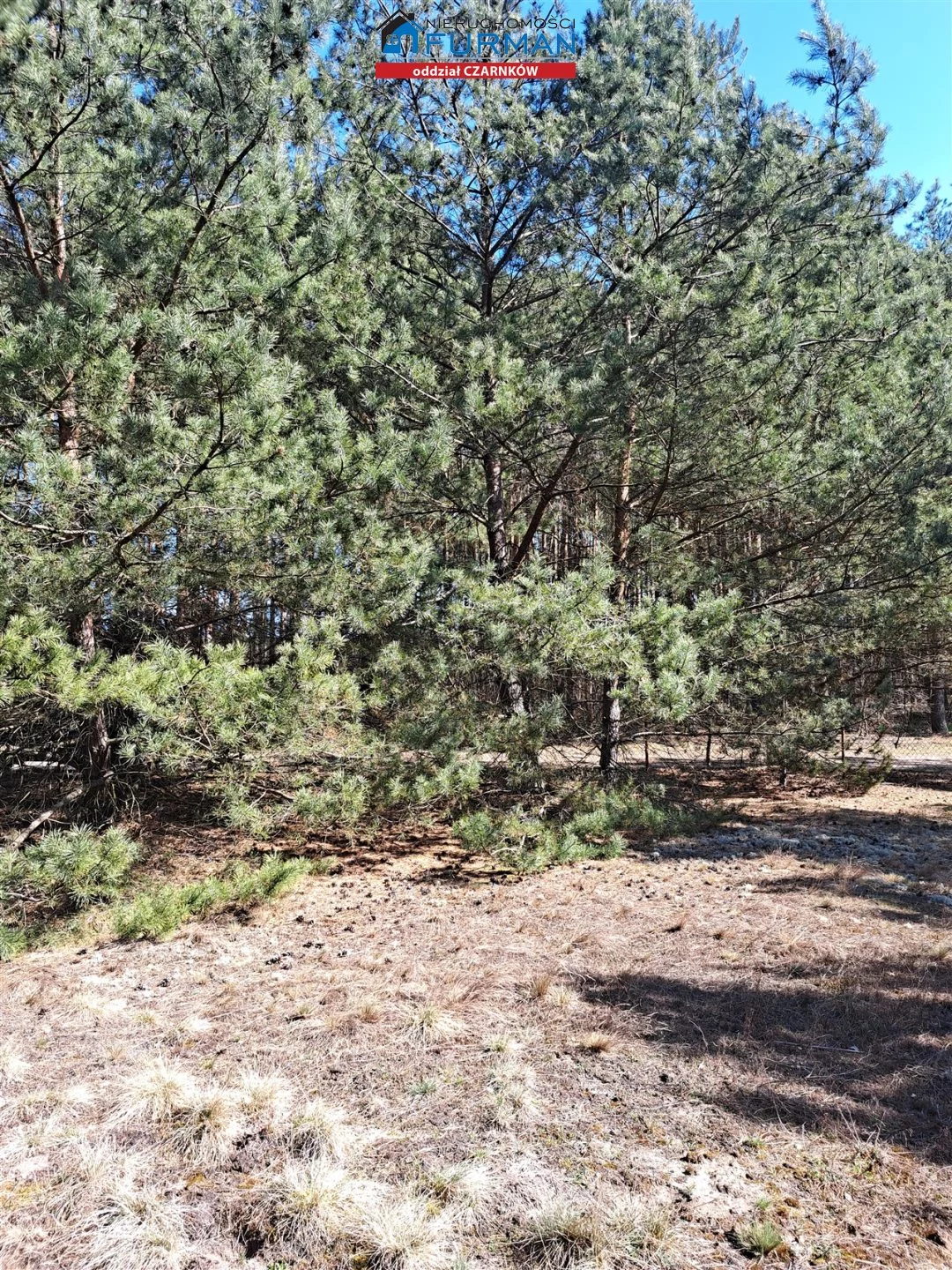 Działka 1 498,00 m², oferta nr , FCZ-GS-198087-2, Wieleń