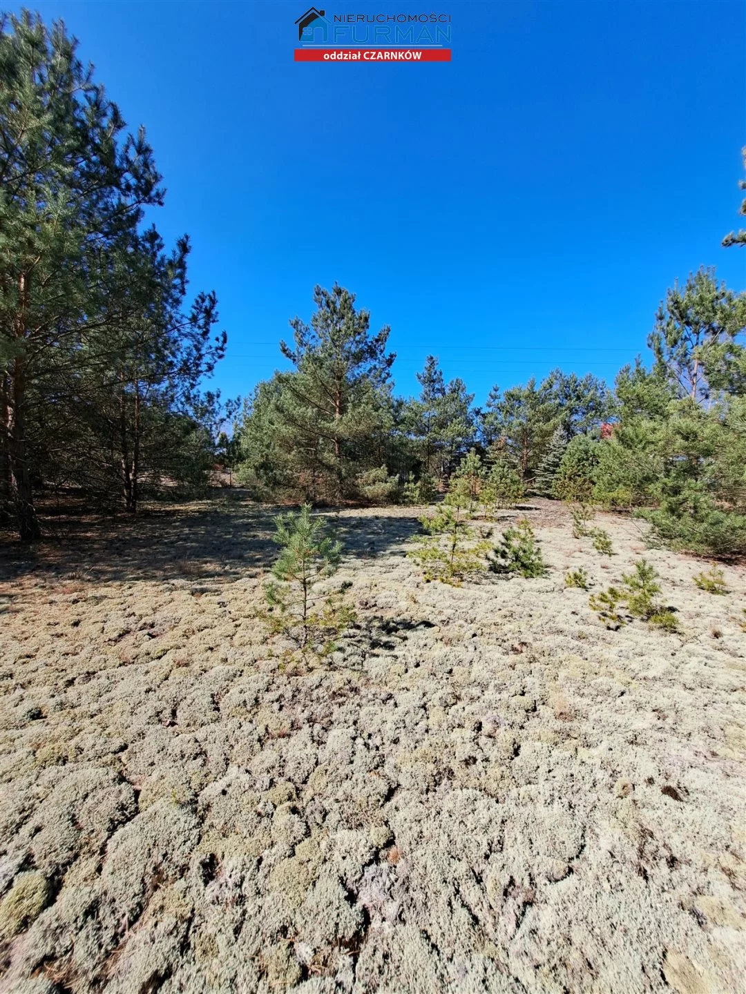 Działka 1 498,00 m², oferta nr , FCZ-GS-198087-2, Wieleń