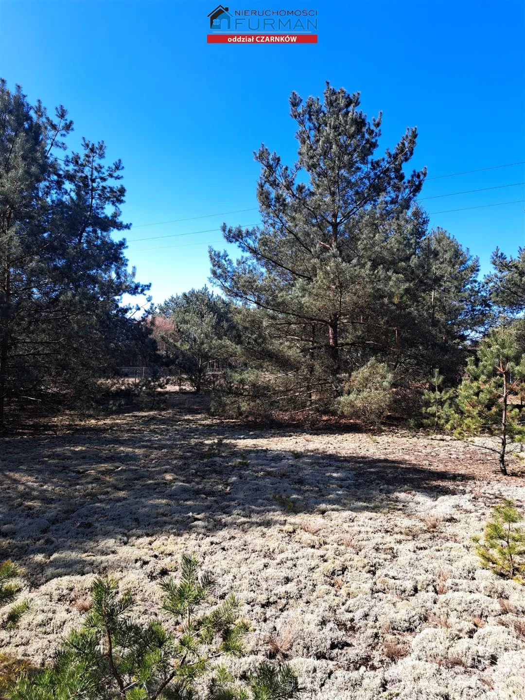 Działka 1 498,00 m², oferta nr , FCZ-GS-198087-2, Wieleń