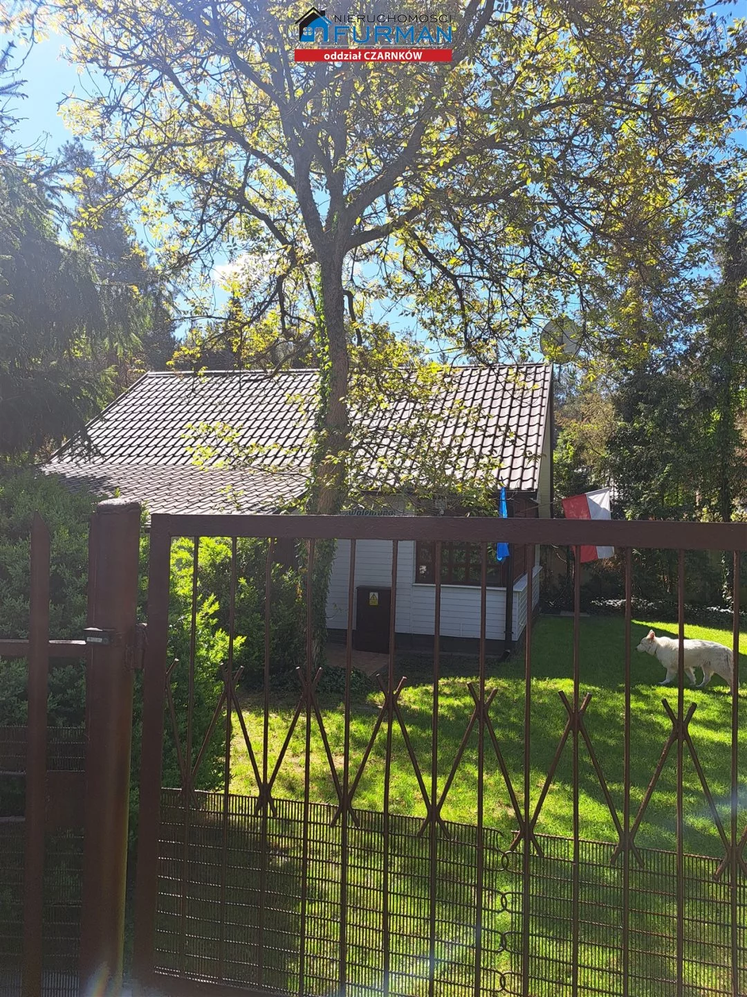 Działka 577,00 m², Wieleń, Sprzedaż