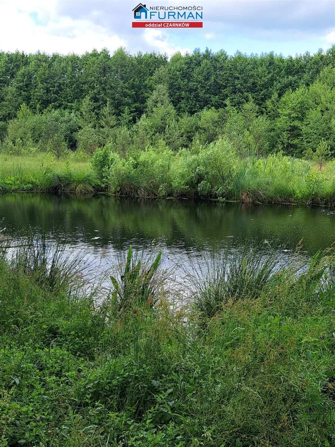 Działka 26 107,00 m², oferta nr , FCZ-GS-198319, Wieleń