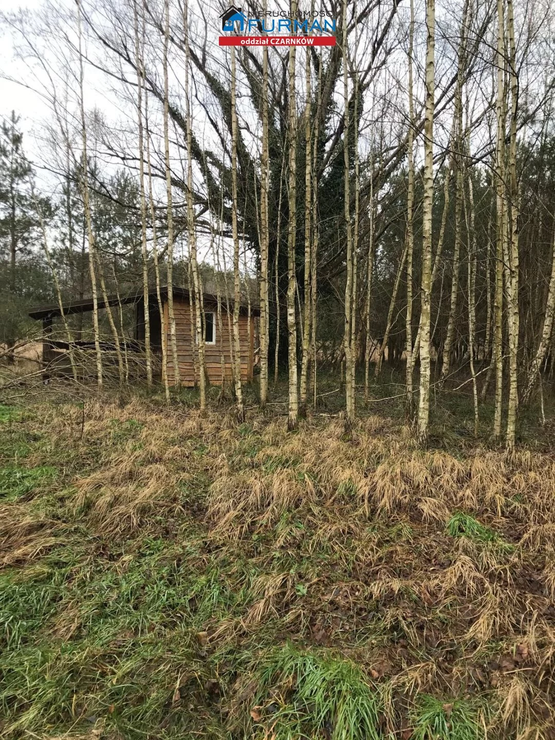 Działka 26 107,00 m², oferta nr , FCZ-GS-198319, Wieleń