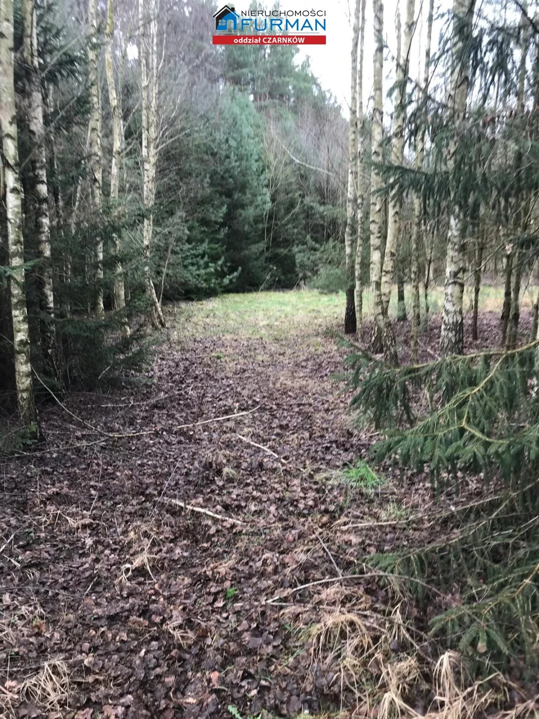 Działka 26 107,00 m², oferta nr , FCZ-GS-198319, Wieleń