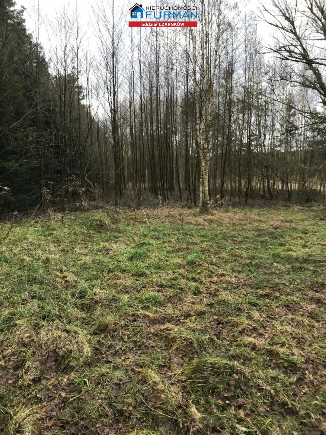Działka 26 107,00 m², oferta nr , FCZ-GS-198319, Wieleń