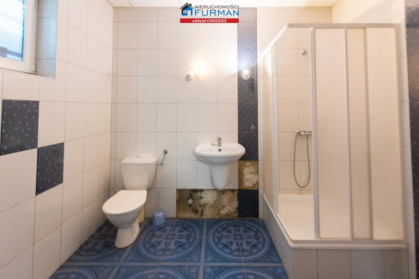 Lokal użytkowy 314,14 m², oferta nr , FRC-LS-196306, Chodzież