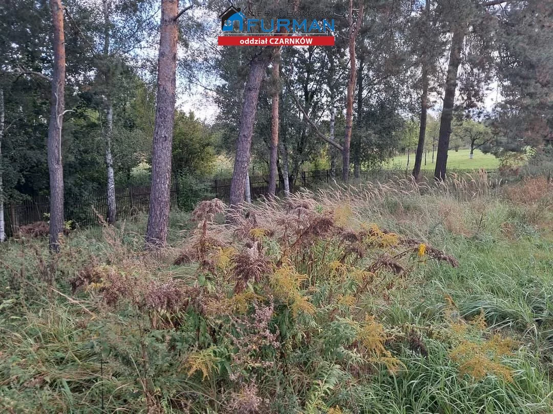 Obiekt 473,55 m², oferta nr , FCZ-BS-197753-1, Wieleń