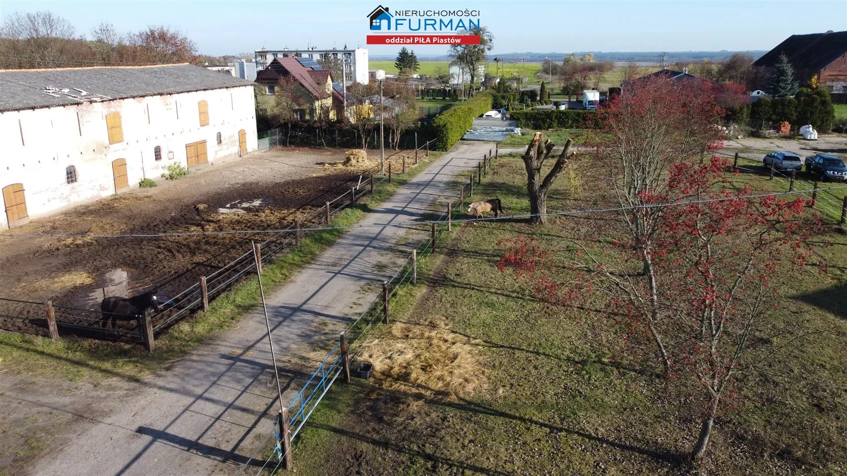 Magazyn 3 500,00 m², oferta nr , FRP-HS-195664, Trzcianka