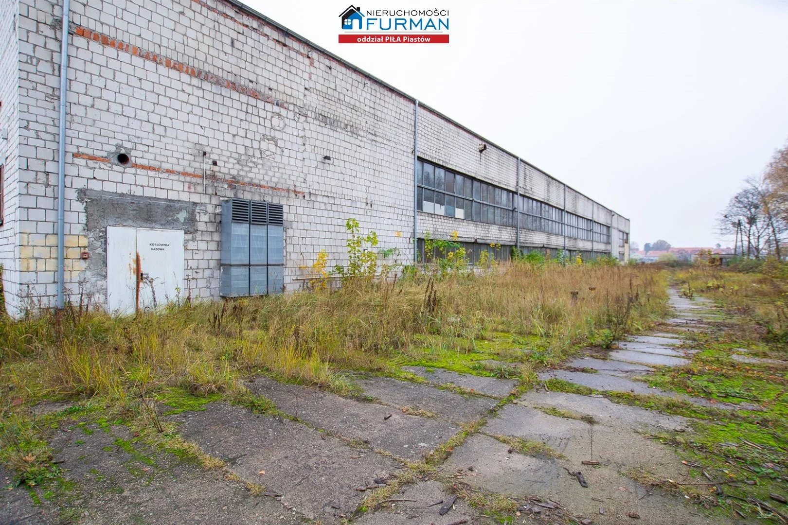 Magazyn 1 673,00 m², oferta nr , FRP-HS-197711, Trzcianka