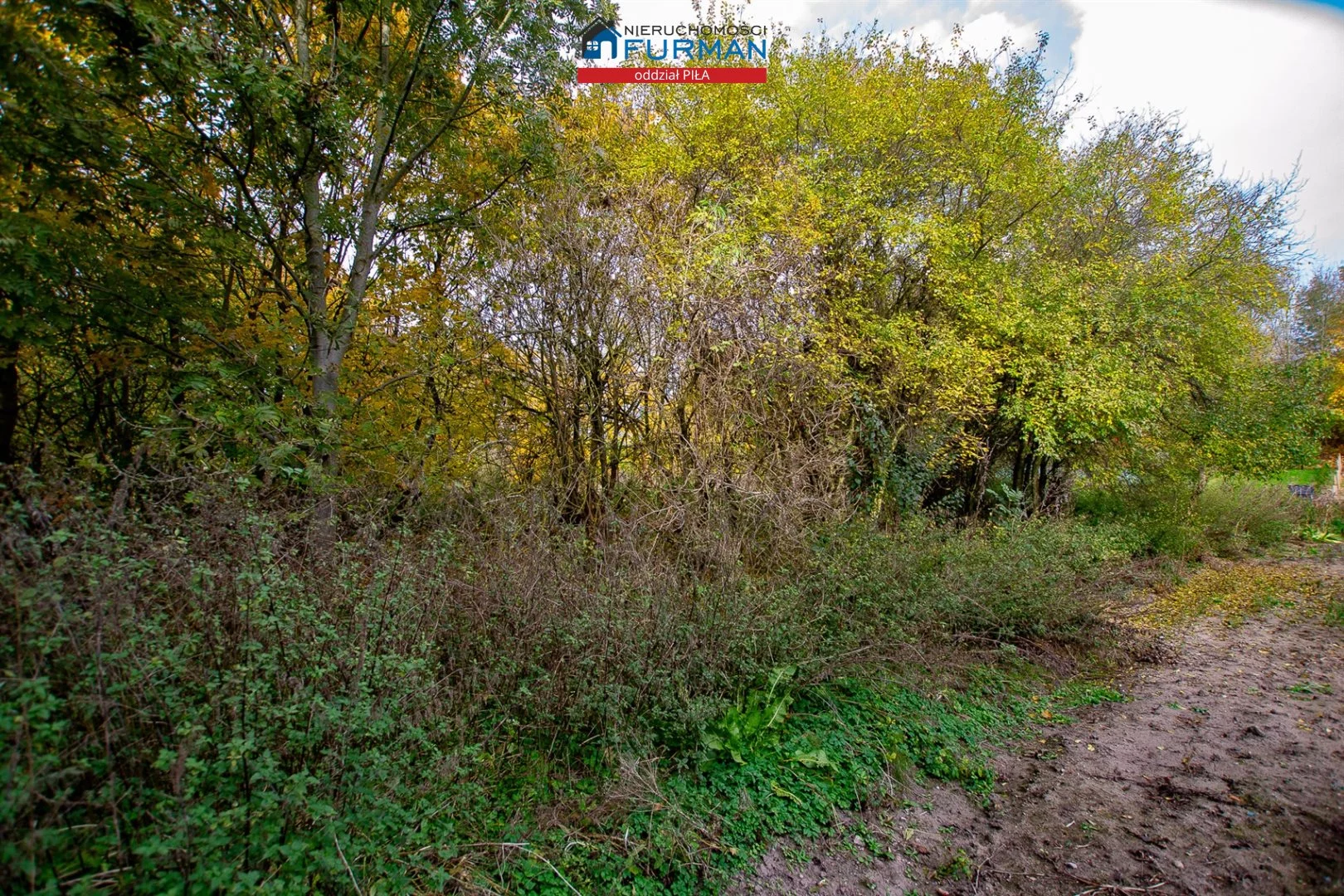 3 pokoje, mieszkanie 64,59 m², parter, oferta nr , FRP-MS-197616-3, Szydłowo