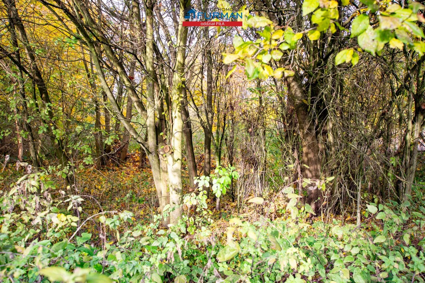 3 pokoje, mieszkanie 64,59 m², parter, oferta nr , FRP-MS-197616-3, Szydłowo