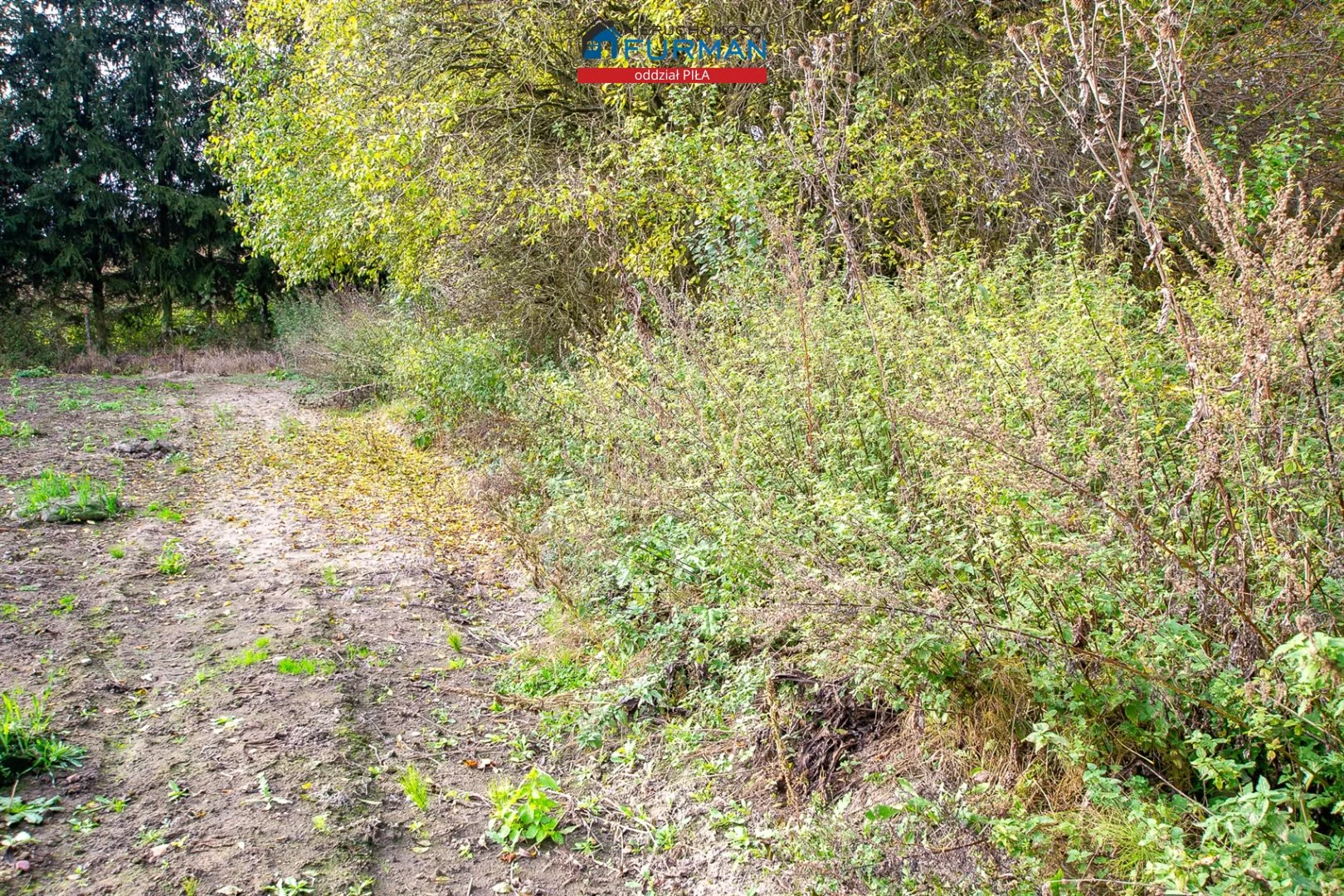3 pokoje, mieszkanie 64,59 m², parter, oferta nr , FRP-MS-197616-3, Szydłowo