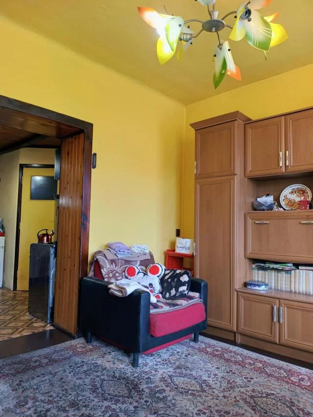 2658 - zdjęcie nr 3