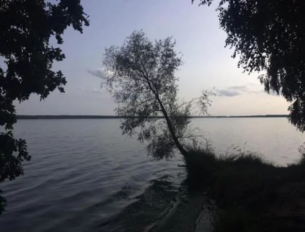Dom 81,70 m², oferta nr , 862, Swolszewice Duże