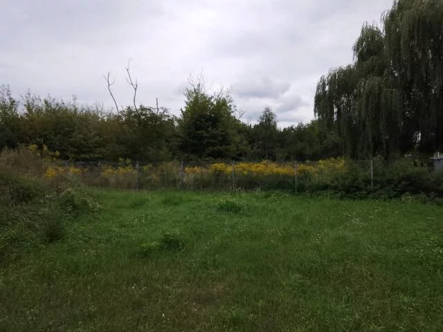 3170 - zdjęcie nr 4