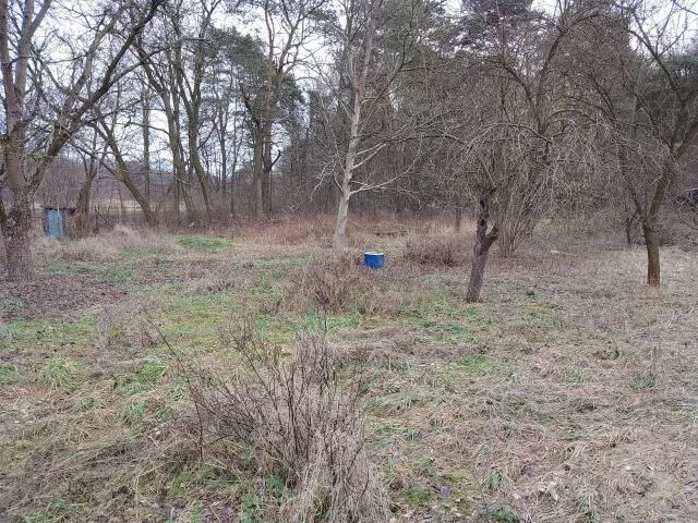 Działka 560,00 m², oferta nr , 2755, Łódź