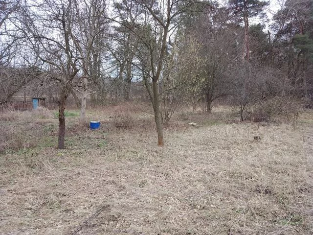 Działka 560,00 m², oferta nr , 2755, Łódź, Bałuty, Bałuty