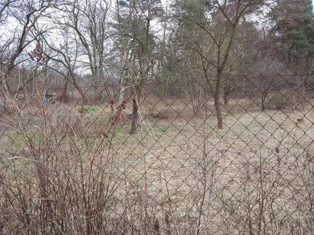 Działka 560,00 m², oferta nr , 2755, Łódź, Bałuty, Bałuty