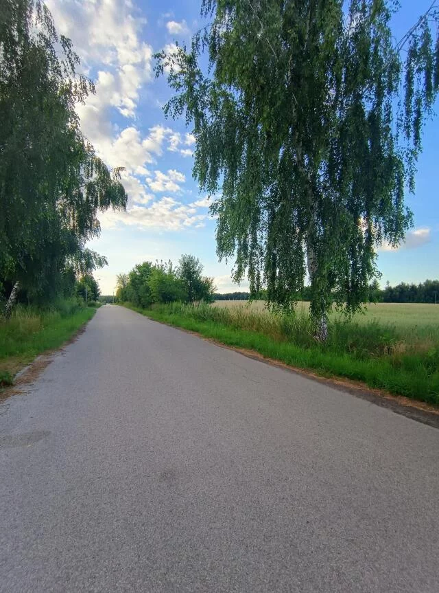 1294 - zdjęcie nr 1
