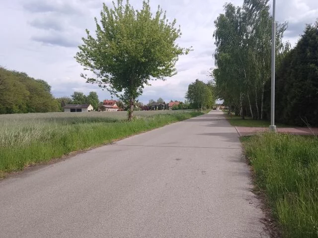 1294 - zdjęcie nr 4