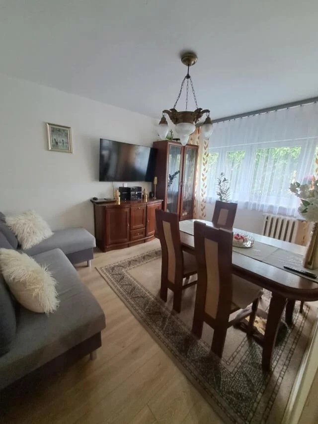 3172 - zdjęcie nr 1