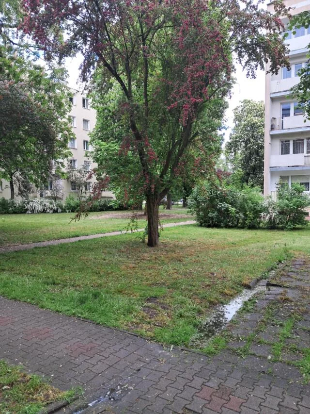 2 pokoje, mieszkanie 37,25 m², piętro 2, oferta nr , 3172, Łódź, Niciarniana