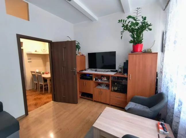 3175 - zdjęcie nr 2