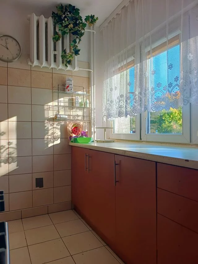 3182 - zdjęcie nr 4