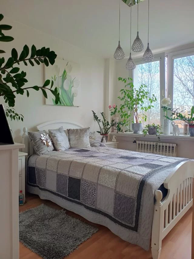 3163 - zdjęcie nr 4