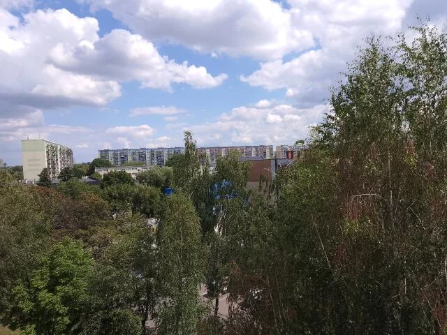 3174 - zdjęcie nr 4