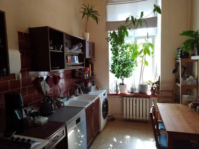 1666 - zdjęcie nr 1