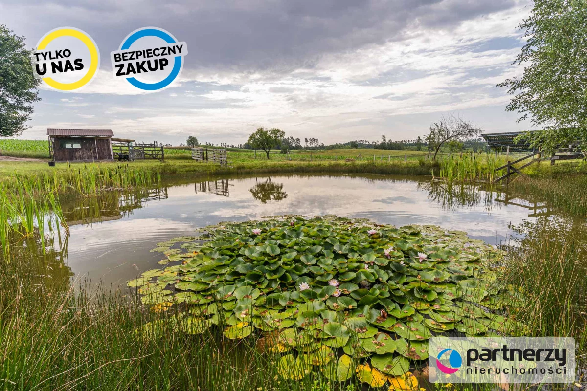 Dom 800,00 m², oferta nr , PAN621885, Dziemiany