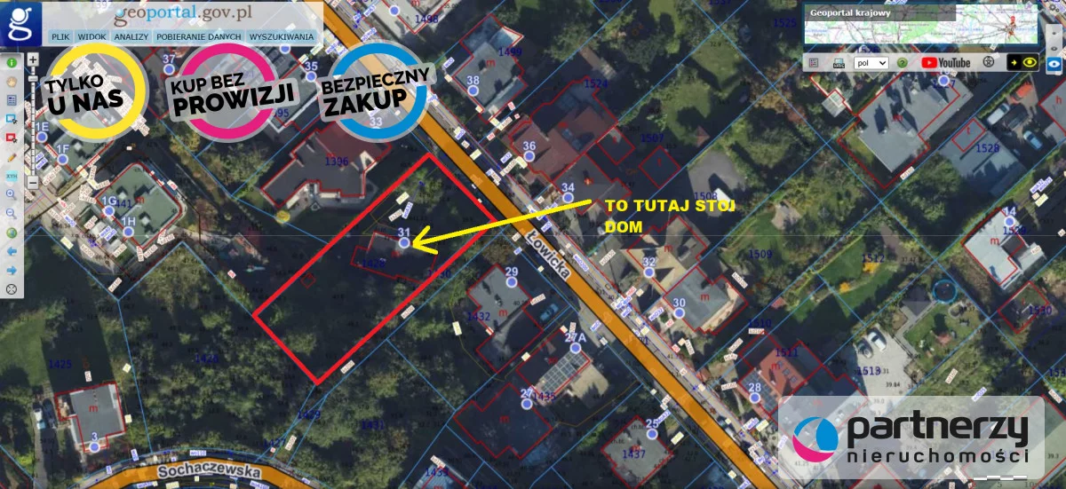 PAN706346 - zdjęcie nr 0