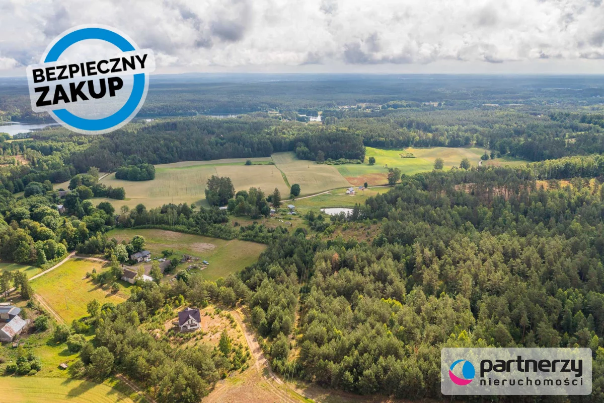 Dom 300,00 m², oferta nr , PAN361863, Borowiec