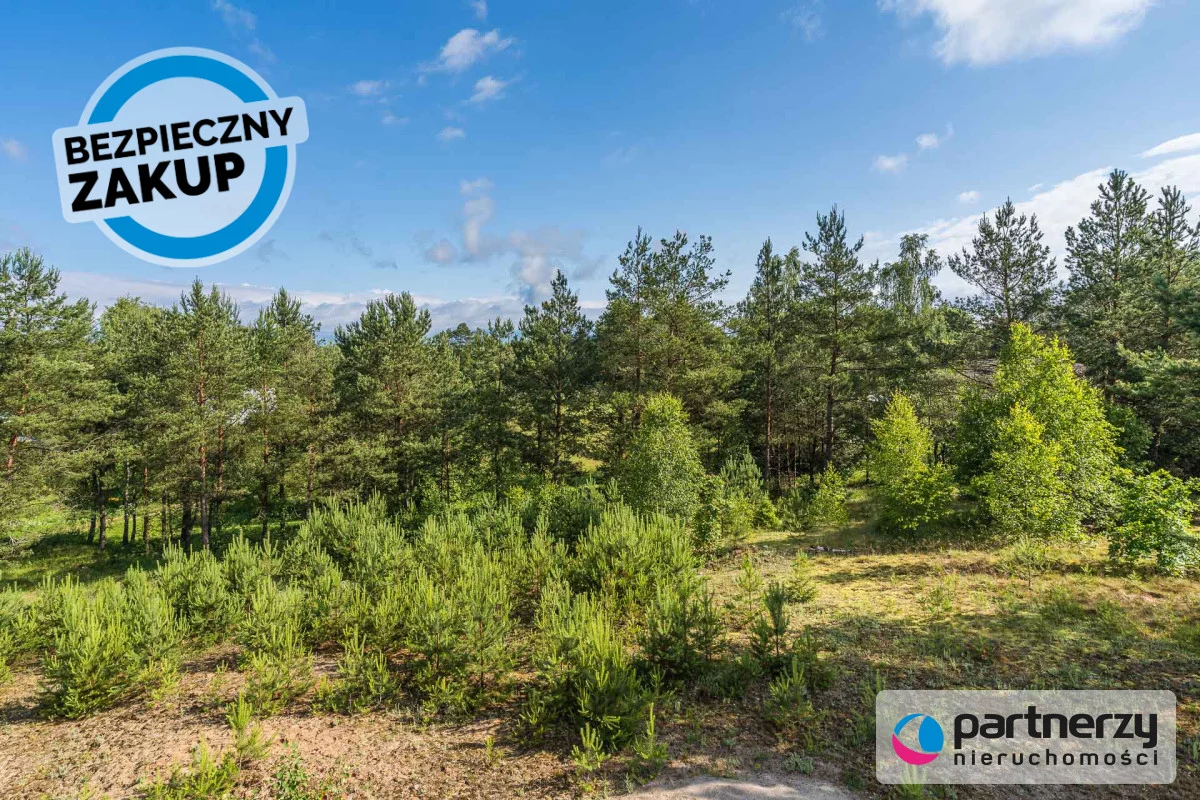 Dom 300,00 m², oferta nr , PAN361863, Borowiec