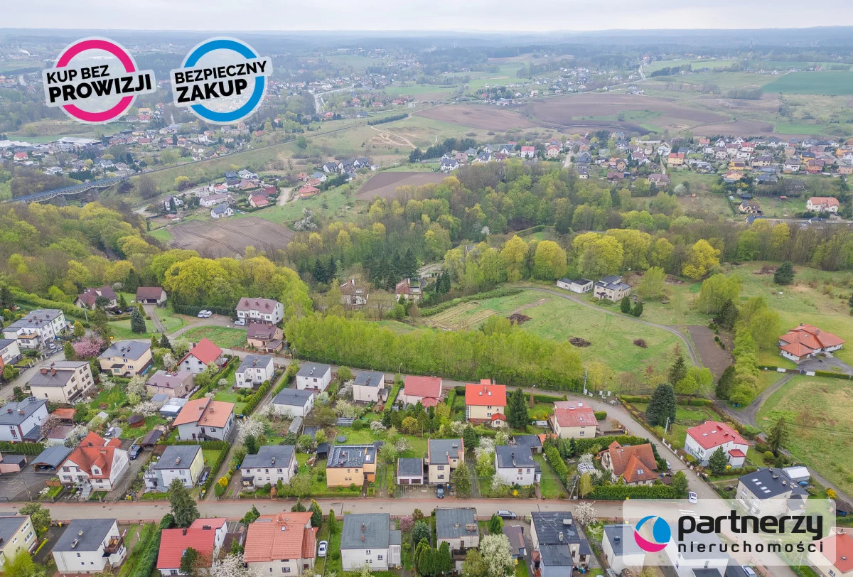 PAN377842 - zdjęcie nr 3