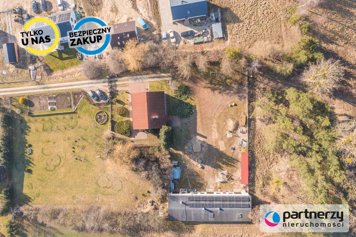 PAN351721 - zdjęcie nr 1