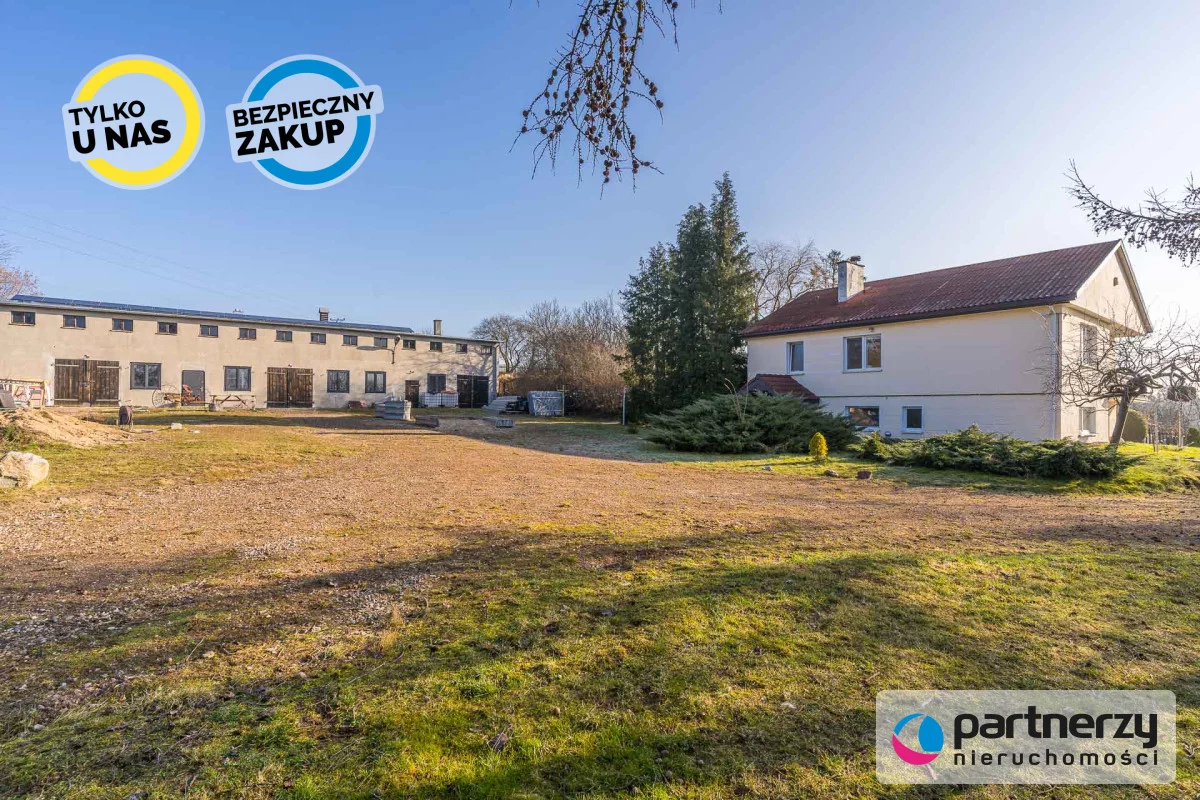 PAN351721 - zdjęcie nr 4